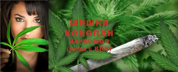 MESCALINE Аркадак